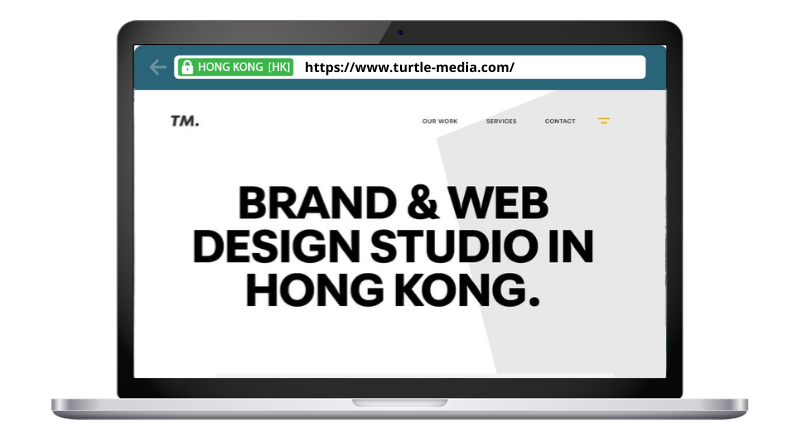 Turtle Media
